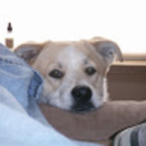 Meet your Posher, Steven